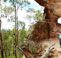 Pilliga National Park - Goulburn Accommodation