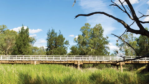 Pilliga National Park - Goulburn Accommodation 3