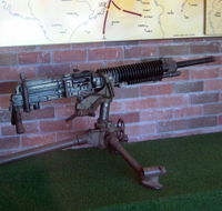 Woodpecker Gun - Goulburn Accommodation