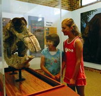Australian Museum Diprotodon Exhibition - Goulburn Accommodation