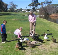 Roy Little Park Merredin - Goulburn Accommodation