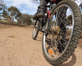 Tamma Parkland - Goulburn Accommodation 1