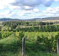 Sassy Wines - Goulburn Accommodation
