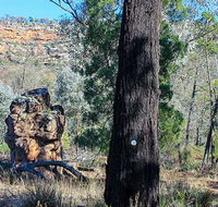 Eualdrie walking track - Goulburn Accommodation