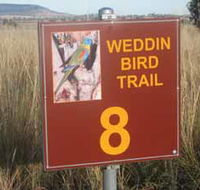 Weddin Bird Trails - Goulburn Accommodation
