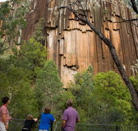 Sawn Rocks walking track - Goulburn Accommodation