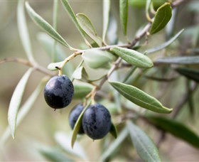 Wollundry Grove Olives - Goulburn Accommodation 2