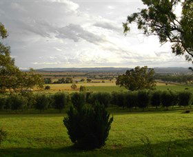 Wollundry Grove Olives - Goulburn Accommodation 1