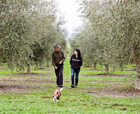 Wollundry Grove Olives - Goulburn Accommodation 3