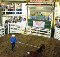 Gracemere Exhibition Complex - Goulburn Accommodation