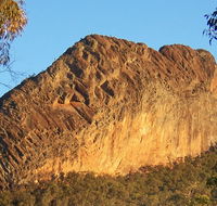 Kaputar scenic drive - Goulburn Accommodation