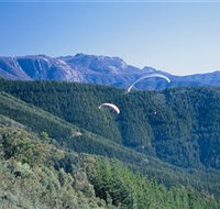 Buffalo Brewery - Goulburn Accommodation