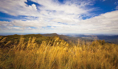 Mount Kaputar Summit Walk - Goulburn Accommodation 1
