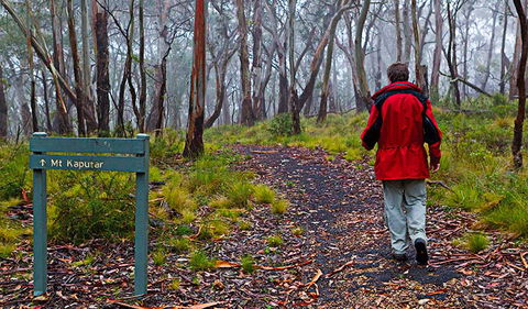 Mount Kaputar Summit Walk - Goulburn Accommodation 2