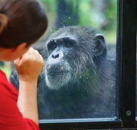 The Rockhampton Zoo - Goulburn Accommodation