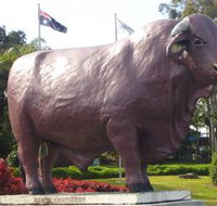 Rockhampton Bull Statues - Goulburn Accommodation