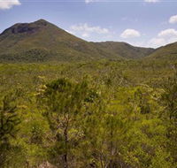 Kutini-Payamu Iron Range National Park CYPAL - Goulburn Accommodation