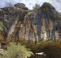 Borenore Karst Conservation Reserve - Goulburn Accommodation