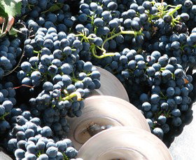 Orange Mountain Wines - Goulburn Accommodation 2