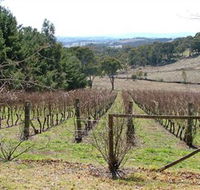 Habitat Vineyard - Goulburn Accommodation