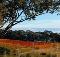 Bloodwood Estate - Goulburn Accommodation