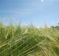150 Degrees East Meridian - Goulburn Accommodation
