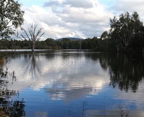 Wonga Wetlands - Goulburn Accommodation 1