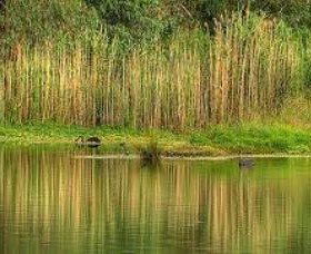 Wonga Wetlands - Goulburn Accommodation 2