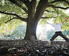 Albury Botanic Gardens - Goulburn Accommodation 1