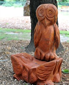 Albury Botanic Gardens - Goulburn Accommodation 7