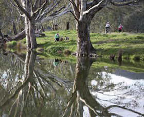 Wagirra Trail And Yindyamarra Sculpture Walk - Goulburn Accommodation 1