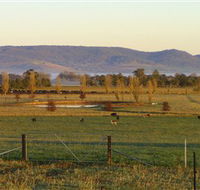 Holbrook Landcare Self-Drive Eco Tour - Goulburn Accommodation