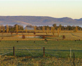 Holbrook Landcare Self-Drive Eco Tour - Goulburn Accommodation 0