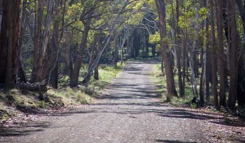 Coolah Tops National Park - Goulburn Accommodation 1