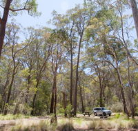 Coolah Tops National Park - Goulburn Accommodation