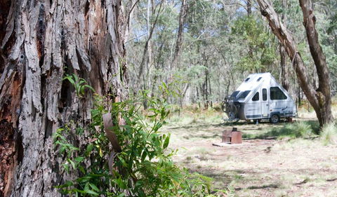Coolah Tops National Park - Goulburn Accommodation 2