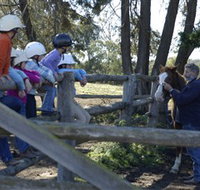 Harlow Park Horse Riding - Goulburn Accommodation