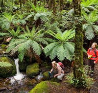 Baw Baw National Park - Goulburn Accommodation