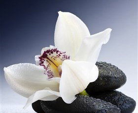 H2O Spa - Goulburn Accommodation 1