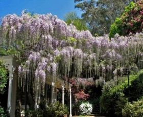 Nooroo Gardens - Goulburn Accommodation 0