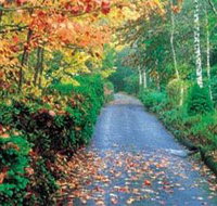 Mount Wilson and Mount Irvine - Goulburn Accommodation