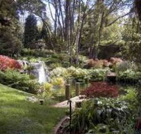 Windyridge Garden Mount Wilson - Goulburn Accommodation