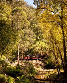 Walhalla Goldfields Railway - Goulburn Accommodation 3