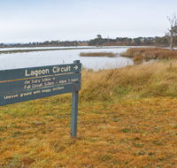 Lagoon Circuit walking track - Goulburn Accommodation