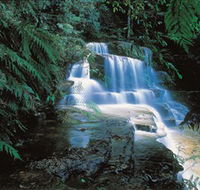 Leura Cascades - Goulburn Accommodation