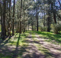 Wombeyan Waterfall walking track - Goulburn Accommodation