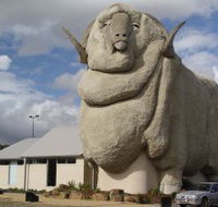 Big Merino - Goulburn Accommodation