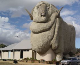 Big Merino - Goulburn Accommodation 0