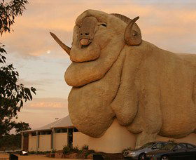Big Merino - Goulburn Accommodation 3