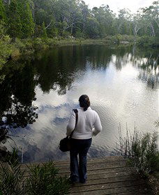 Boonoo Boonoo Falls National Park - Goulburn Accommodation 1